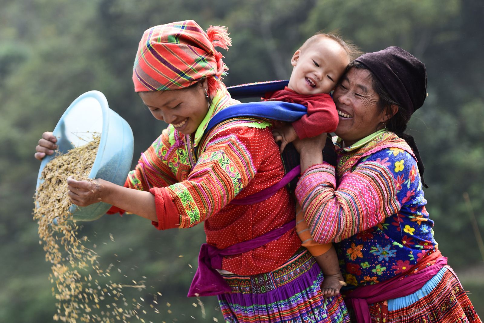 Best Of Sapa And Ha Giang Trekking Tour