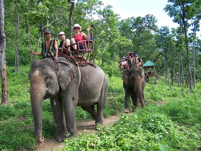 Dalat Elephant Ridding Tour Full Day