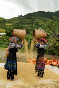 Vietnam Charming Tour 11 Days