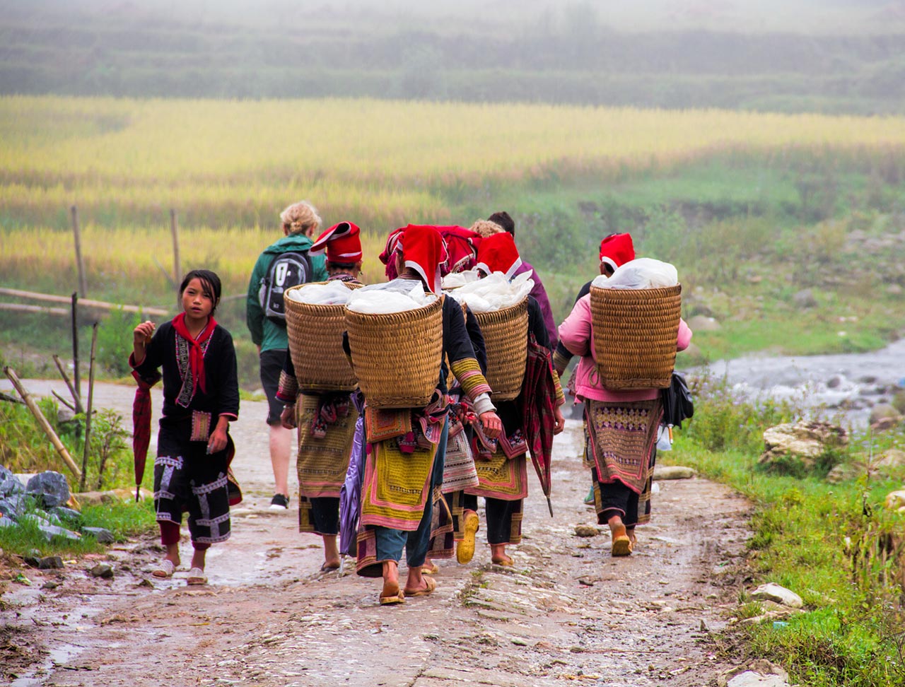 Best Of Sapa Trekking and Homestay Tour