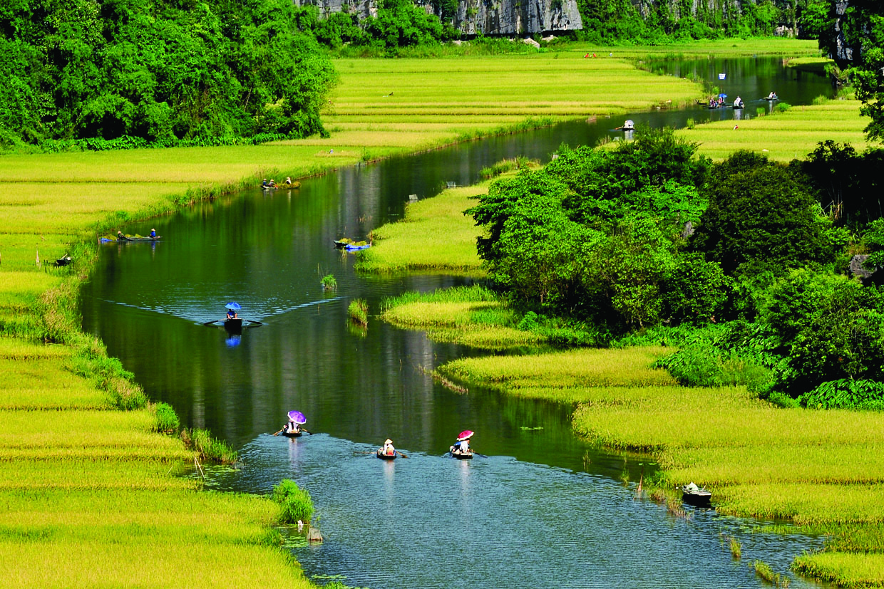 Hoa Lu Temple & Tam Coc Tour