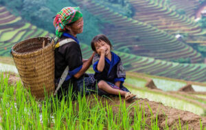 Sapa And Mu Cang Chai Rice Terraces Tour